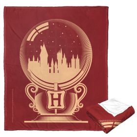 Harry Potter Silk Touch Throw Blanket, 50" x 60", Snowglobe