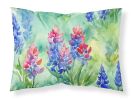 Texas Bluebonnets in Watercolor Standard Pillowcase Lightweight Super Soft Easy Care Decorative Artwork Pillowcase, Standard