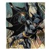 DC Comics Batman Silk Touch Throw Blanket, 50" x 60", Swiging In